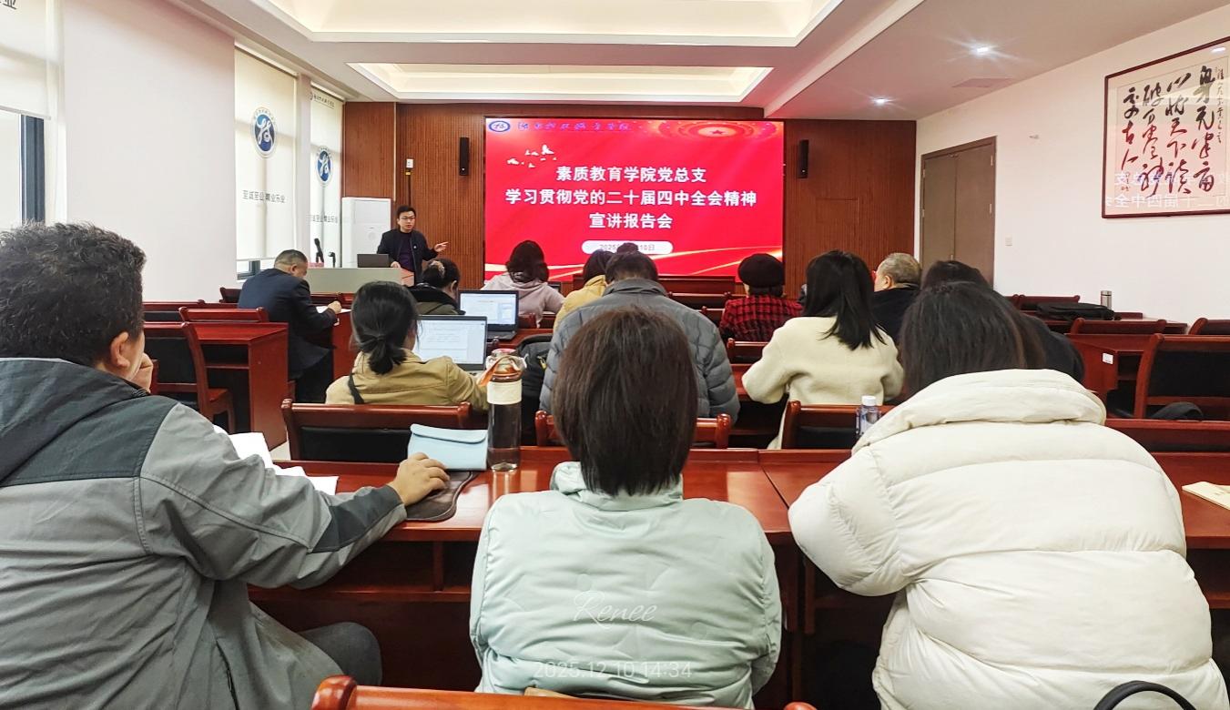 皮卫宣讲党的二十届四中全会精神